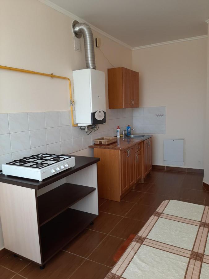 Apartment On Lermontova 35A Mukaczewo Zewnętrze zdjęcie