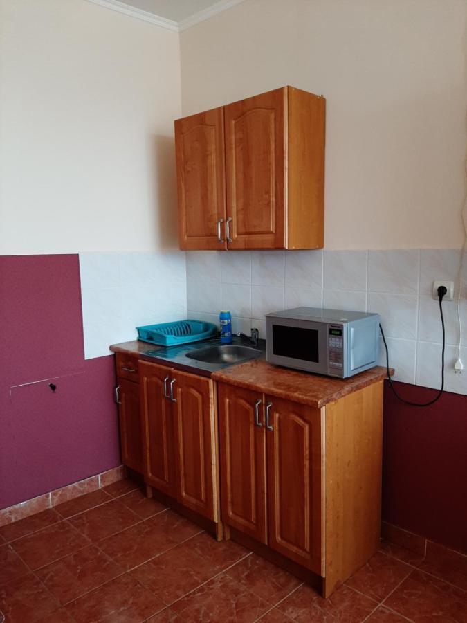 Apartment On Lermontova 35A Mukaczewo Zewnętrze zdjęcie